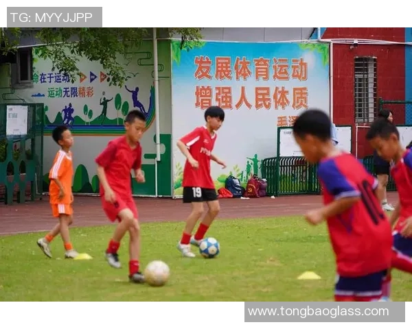 足球小球星计划：培养未来足坛之星的全方位成长路径与发展策略